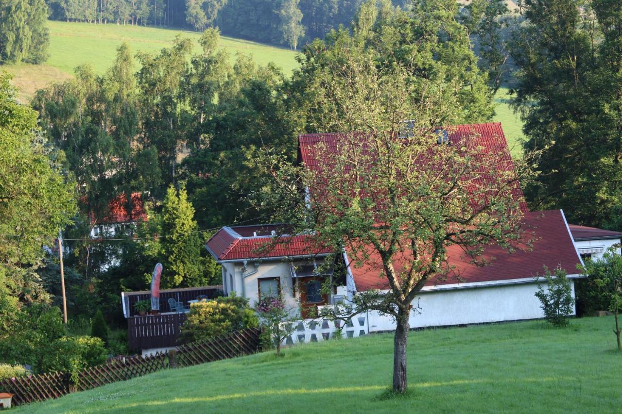 Ferienhaus Dani Bad Gottleuba 外观 照片