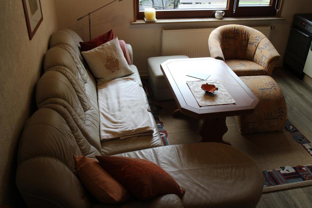 Ferienhaus Dani Bad Gottleuba 外观 照片